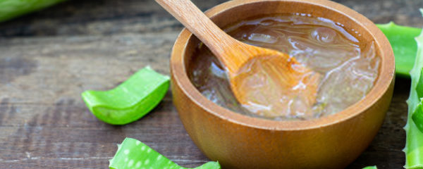 aloe vera